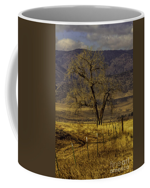 Colorado Coffee Mug featuring the photograph Golden Tree by Kristal Kraft