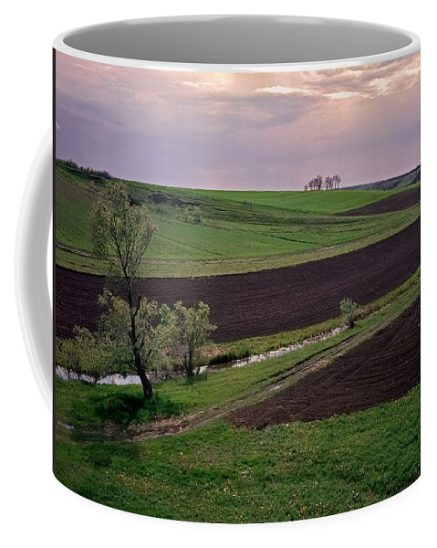 Good Earth Coffee Mug featuring the photograph Good Earth. Serbia by Juan Carlos Ferro Duque