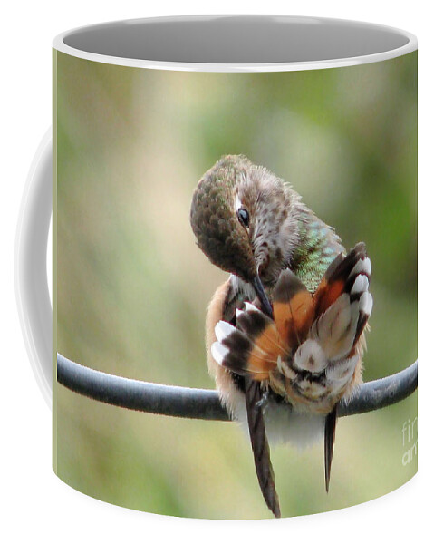 Hummingbirds Coffee Mug featuring the photograph Good Grooming by Rory Siegel