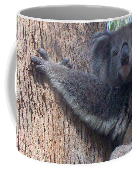 Koala Coffee Mug featuring the photograph Good Morning by Evelyn Tambour