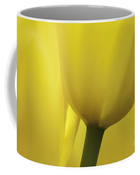 Tulip Coffee Mug featuring the photograph Good Morning Sunshine by Patty Colabuono