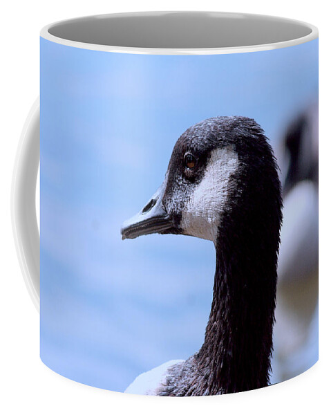 Canadian Goose Coffee Mug featuring the photograph Goose Portrait by Lesa Fine