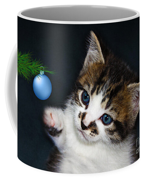Christmas Coffee Mug featuring the photograph Gorgeous Christmas Kitten by Terri Waters