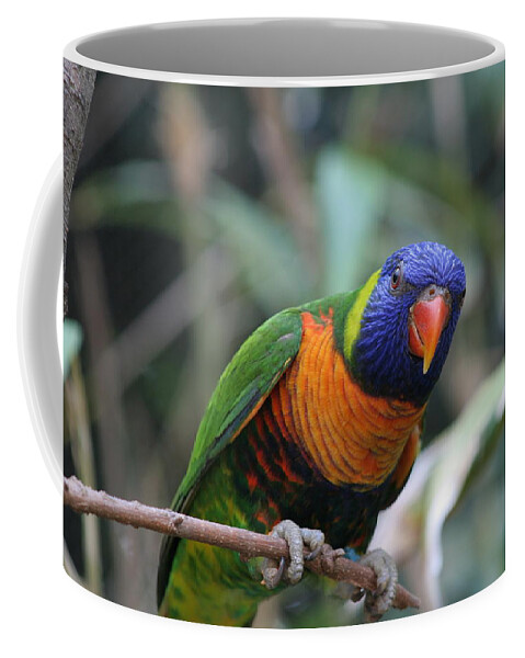 Lorie Coffee Mug featuring the photograph Curious Lorikeet by Valerie Collins