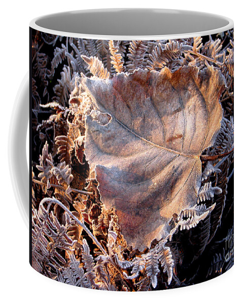 Fall Coffee Mug featuring the photograph Graced By Frost by Rory Siegel