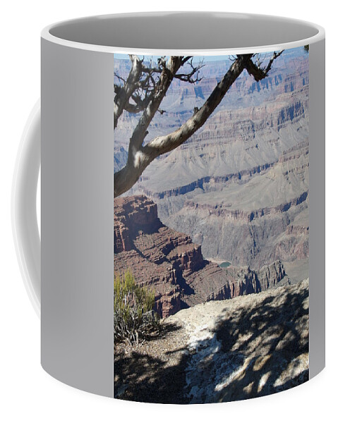 Grand Canyon Coffee Mug featuring the photograph Grand Canyon by David S Reynolds