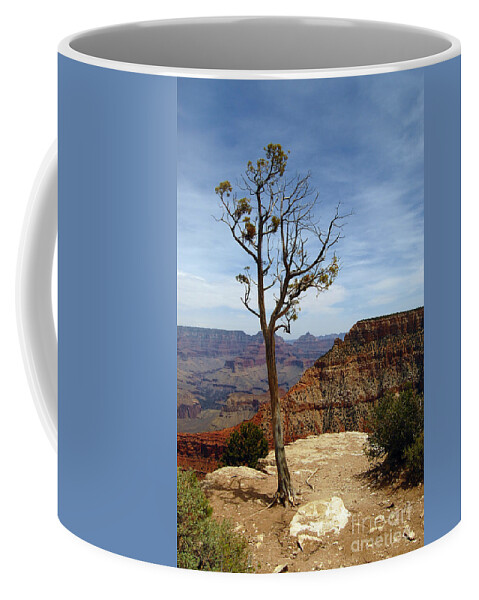 Grand Canyon Coffee Mug featuring the photograph Grand Canyon Rim View by Debra Thompson