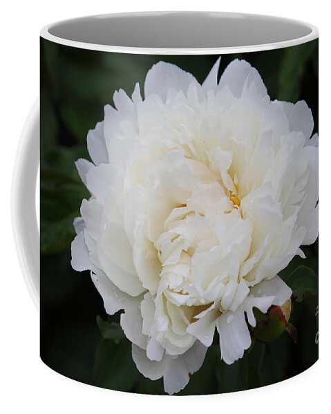 White Flower Coffee Mug featuring the photograph Grandma's Peony by Elizabeth Winter