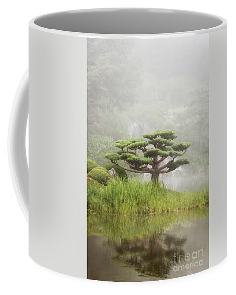 Grant Me Serenity Coffee Mug featuring the photograph Grant Me Serenity by Patty Colabuono