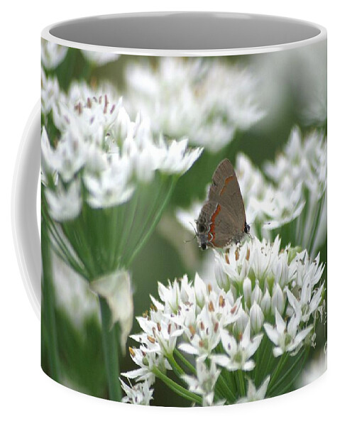 Gray Hairstreak Coffee Mug featuring the photograph Gray Hairstreak On White Blossoms by Living Color Photography Lorraine Lynch