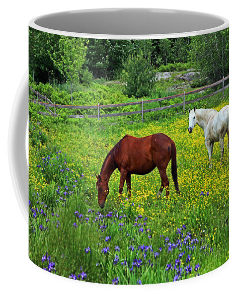 Horses Coffee Mug featuring the photograph Grazing Amongst the Wildflowers by Karol Livote