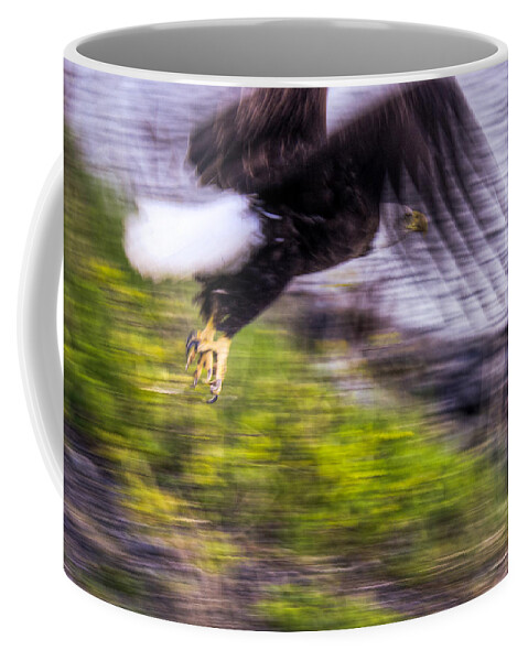 Great American Bald Eagle Coffee Mug featuring the photograph Great American Bald Eagle in Flight Homer Alaska by Natasha Bishop