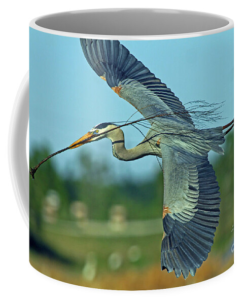 Great Blue Heron Coffee Mug featuring the photograph Great Blue Heron Flight 2 by Larry Nieland