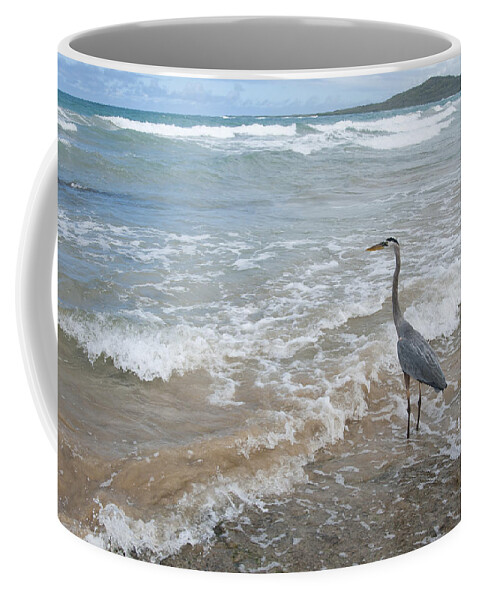 534103 Coffee Mug featuring the photograph Great Blue Heron In Surf Puerto Villamil by Tui De Roy