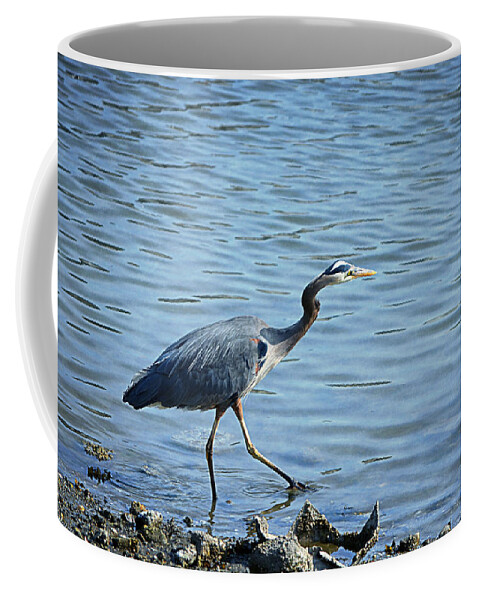 Bird Coffee Mug featuring the photograph Great Blue Heron by Maria Angelica Maira
