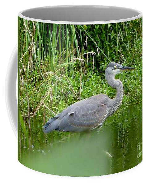 Blue Heron Coffee Mug featuring the photograph Great Blue Heron by Susan Garren