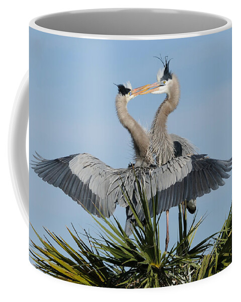 Great Blue Heron Coffee Mug featuring the photograph Great Blue Herons Courting by Bradford Martin
