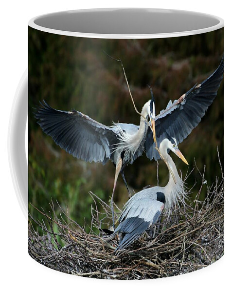 Heron Coffee Mug featuring the photograph Great Blue Herons Nesting by Sabrina L Ryan