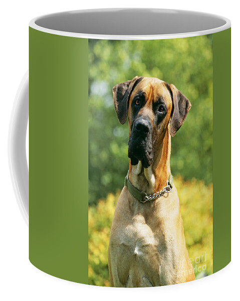 Dog Coffee Mug featuring the photograph Great Dane by John Daniels