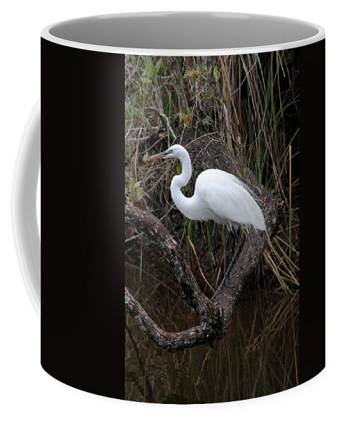 Great Egret Coffee Mug featuring the photograph Great Egret by Doris Potter
