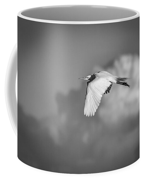 Great Egret Coffee Mug featuring the photograph Great Egret In Flight Black and White by Thomas Young
