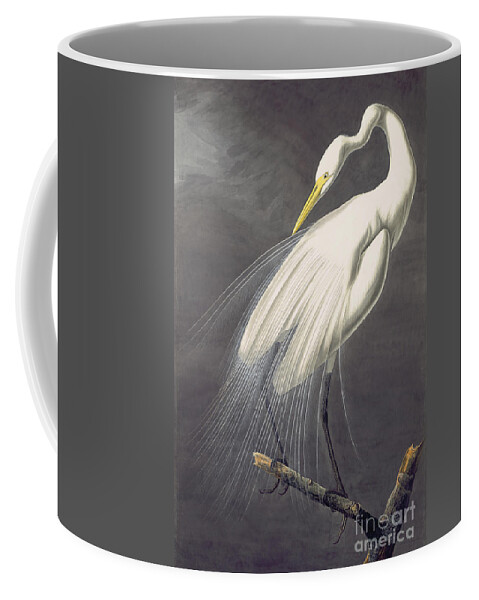 Audubon Watercolors Coffee Mug featuring the painting Great Egret by Celestial Images