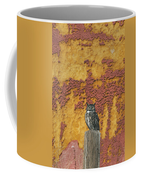 Feb0514 Coffee Mug featuring the photograph Great Horned Owl Tule Lake Nwr by Kevin Schafer