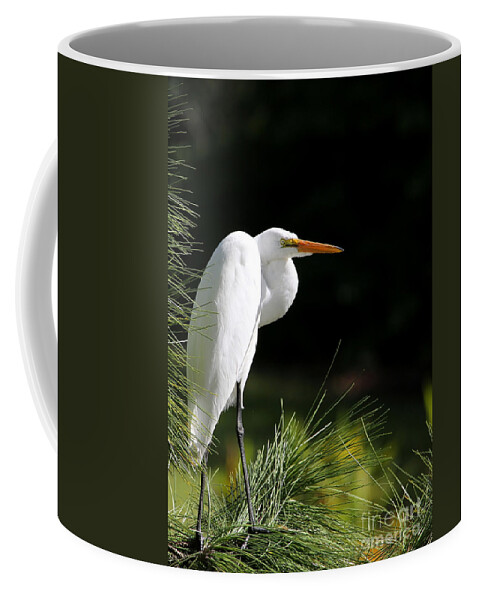 Landscape Coffee Mug featuring the photograph Great White Egret in the Tree by Sabrina L Ryan
