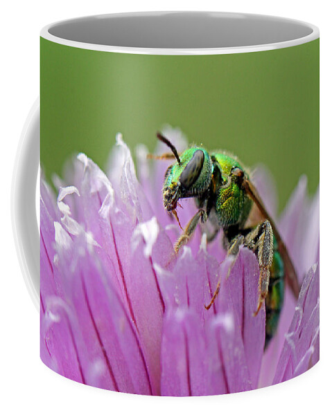 Insects Coffee Mug featuring the photograph Green Envy by Jennifer Robin