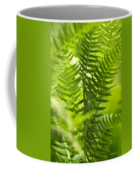 Fern Coffee Mug featuring the photograph Green Fern Art by Christina Rollo