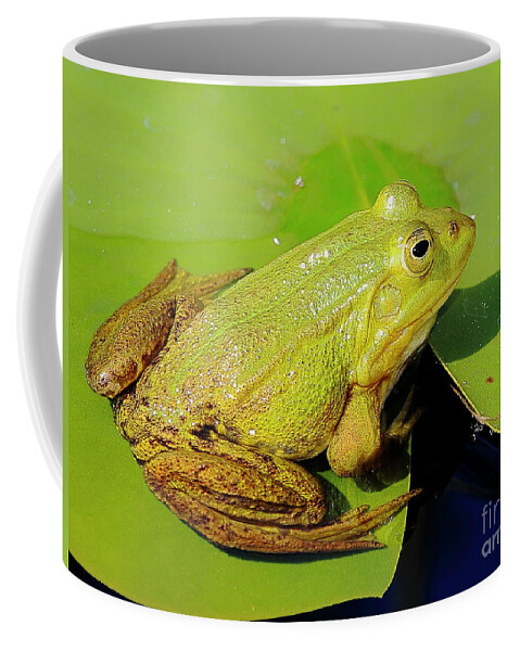 Frogs Coffee Mug featuring the photograph Green Frog 2 by Amanda Mohler