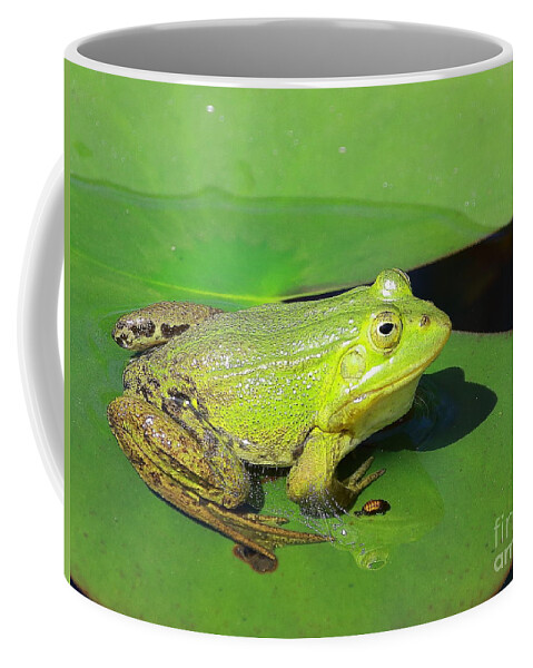 Frogs Coffee Mug featuring the photograph Green Frog by Amanda Mohler