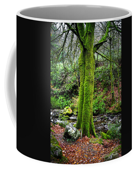 Green Moss Coffee Mug featuring the photograph Green Green Moss by Imagery by Charly