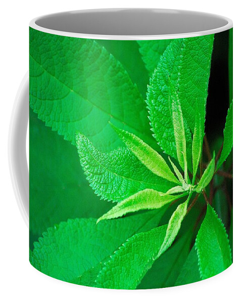 Green Coffee Mug featuring the photograph Green by Ludwig Keck