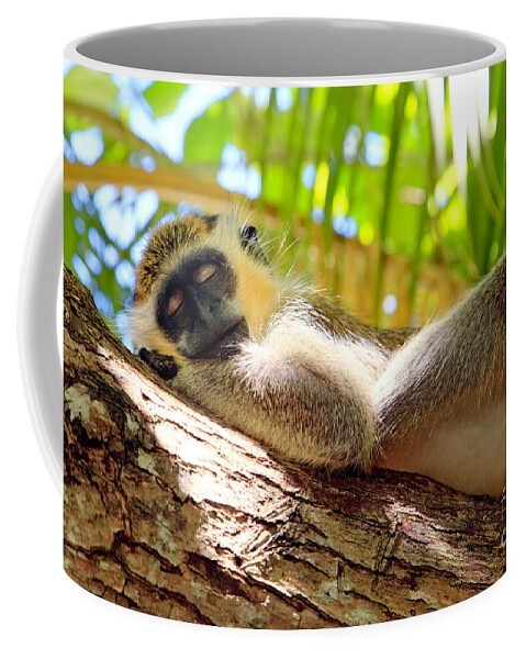 Animal Coffee Mug featuring the photograph Green monkey sleeping on tree by Matteo Colombo