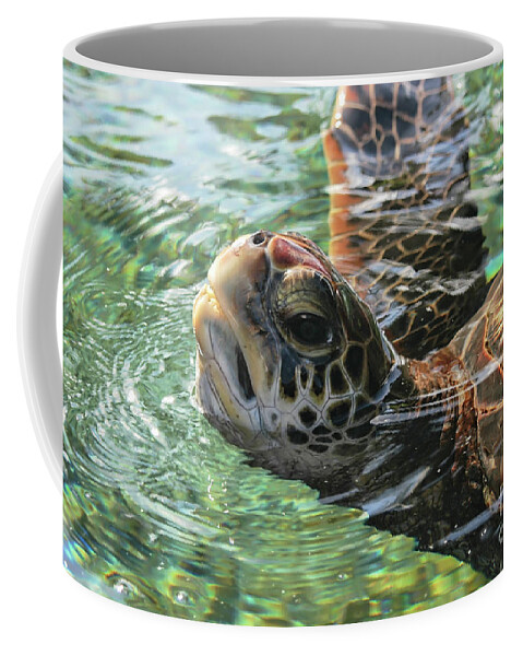 Turtle Coffee Mug featuring the photograph Green Sea Turtle by Al Andersen