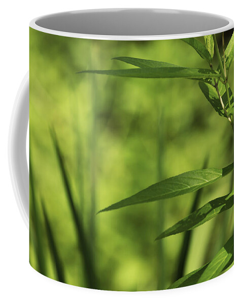 Green Coffee Mug featuring the photograph Green by Tracy Winter