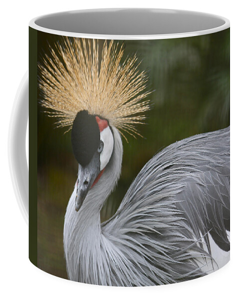Bird Coffee Mug featuring the photograph Grey Crowned Crane by Venetia Featherstone-Witty