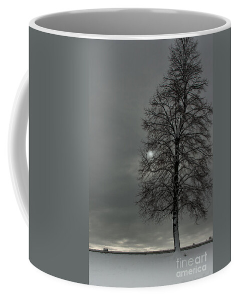 Landscape Coffee Mug featuring the photograph Grey Morning by Steven Reed