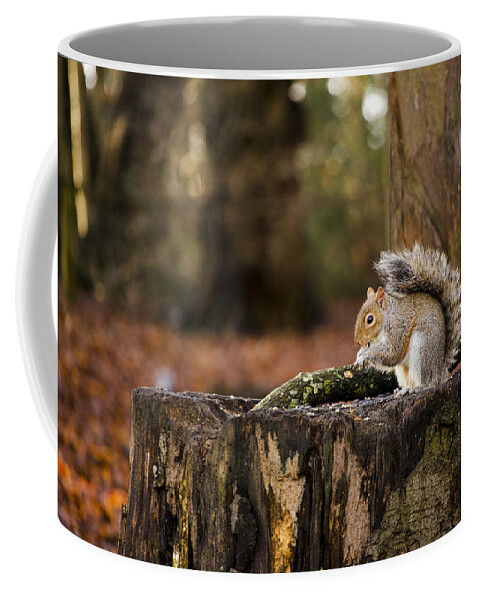 Squirrel Coffee Mug featuring the photograph Grey Squirrel on a Stump by Spikey Mouse Photography