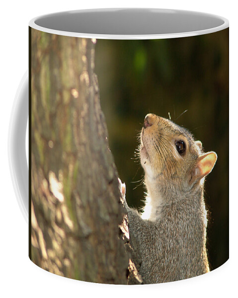 Squirrel Coffee Mug featuring the digital art Grey squirrel by Ron Harpham