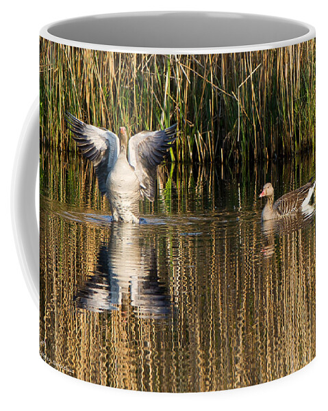 Greylag Goose Family Coffee Mug featuring the photograph Greylag goose family by Torbjorn Swenelius