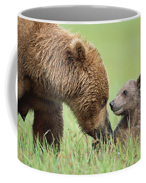 00345260 Coffee Mug featuring the photograph Grizzly Bear And Cub in Katmai by Yva Momatiuk John Eastcott