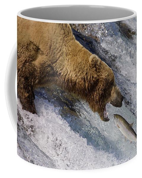 00437111 Coffee Mug featuring the photograph Grizzly Bear Catching Salmon by Matthias Breiter