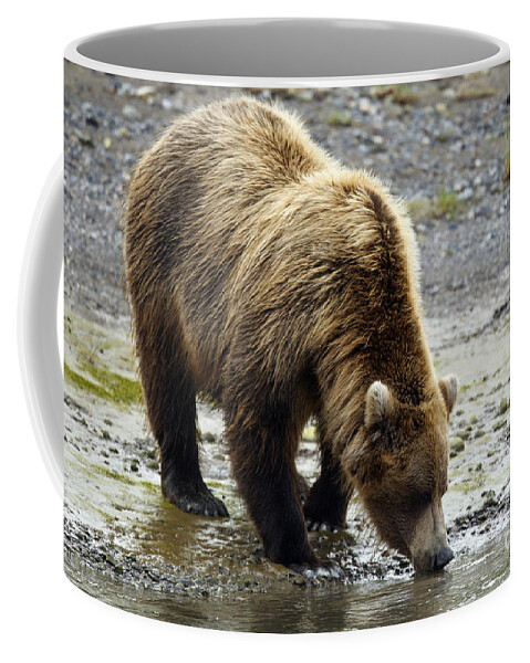 Grizzly Bear Standing In Water While Fishing Coffee Mug by Jason O Watson -  Pixels