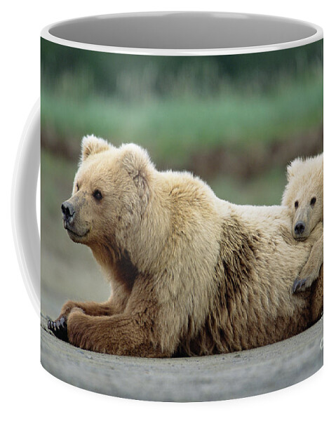 00345267 Coffee Mug featuring the photograph Grizzly Mother And Son by Yva Momatiuk John Eastcott