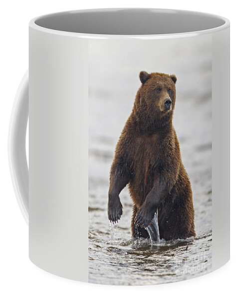 https://render.fineartamerica.com/images/rendered/default/frontright/mug/images-medium-5/grizzly-bear-standing-in-water-while-fishing-jason-o-watson.jpg?&targetx=289&targety=0&imagewidth=222&imageheight=333&modelwidth=800&modelheight=333&backgroundcolor=D9D9D8&orientation=0&producttype=coffeemug-11