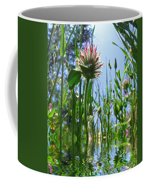 Weeds Coffee Mug featuring the photograph Ground Level Flora by Joyce Dickens
