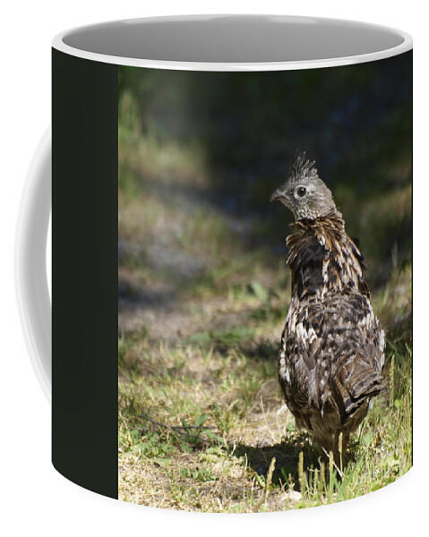 Grouse Coffee Mug featuring the photograph Grouse Hunter by Vivian Martin