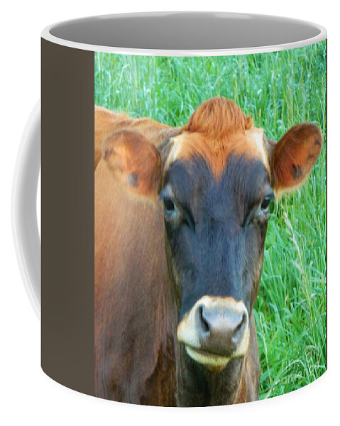 Cow Coffee Mug featuring the photograph Grumpy Cow by Gallery Of Hope 